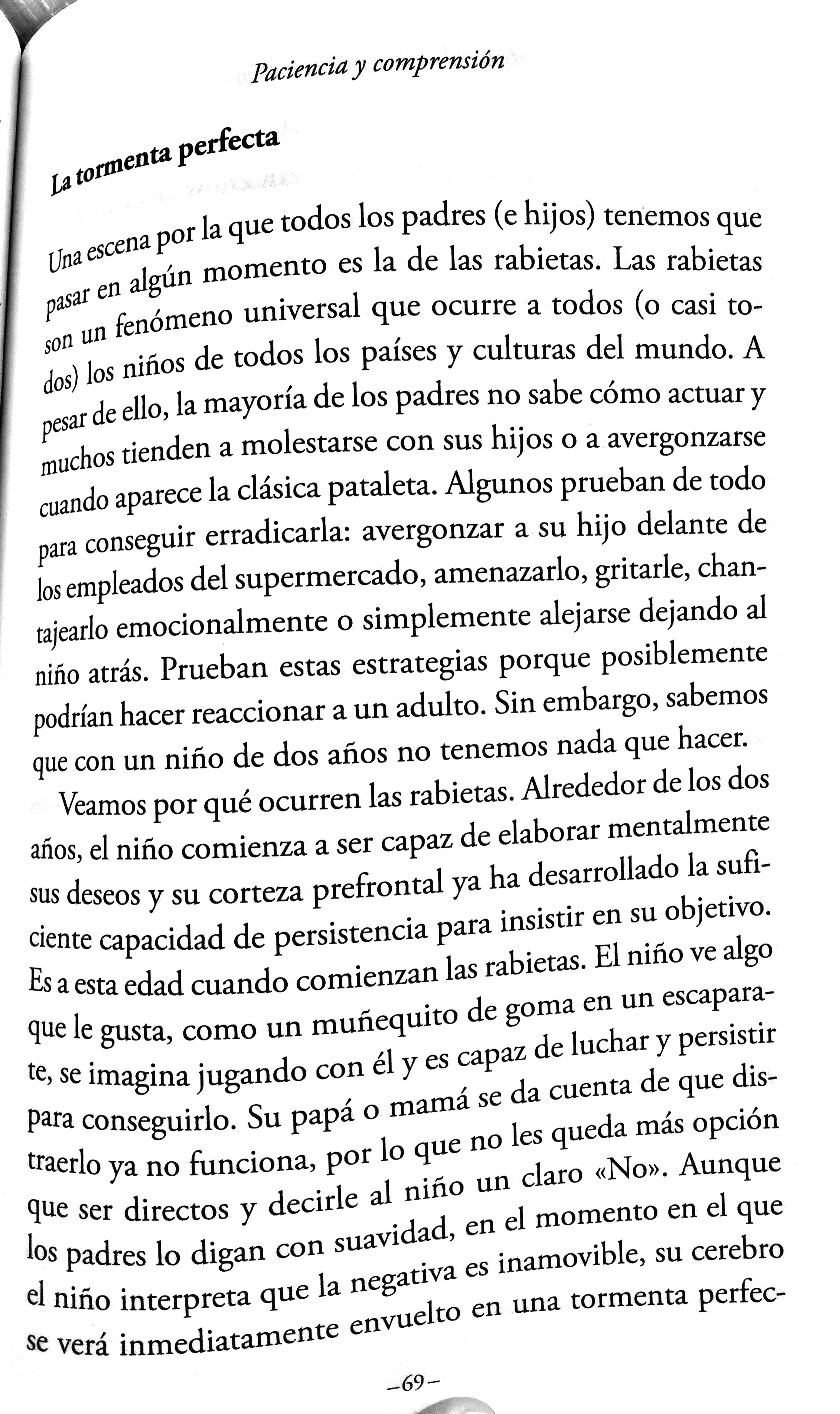 2010 Rabietas Alvaro Bilbao P69 73 El Cerebro Del Nino Explicado A Los Padres.jpg 1