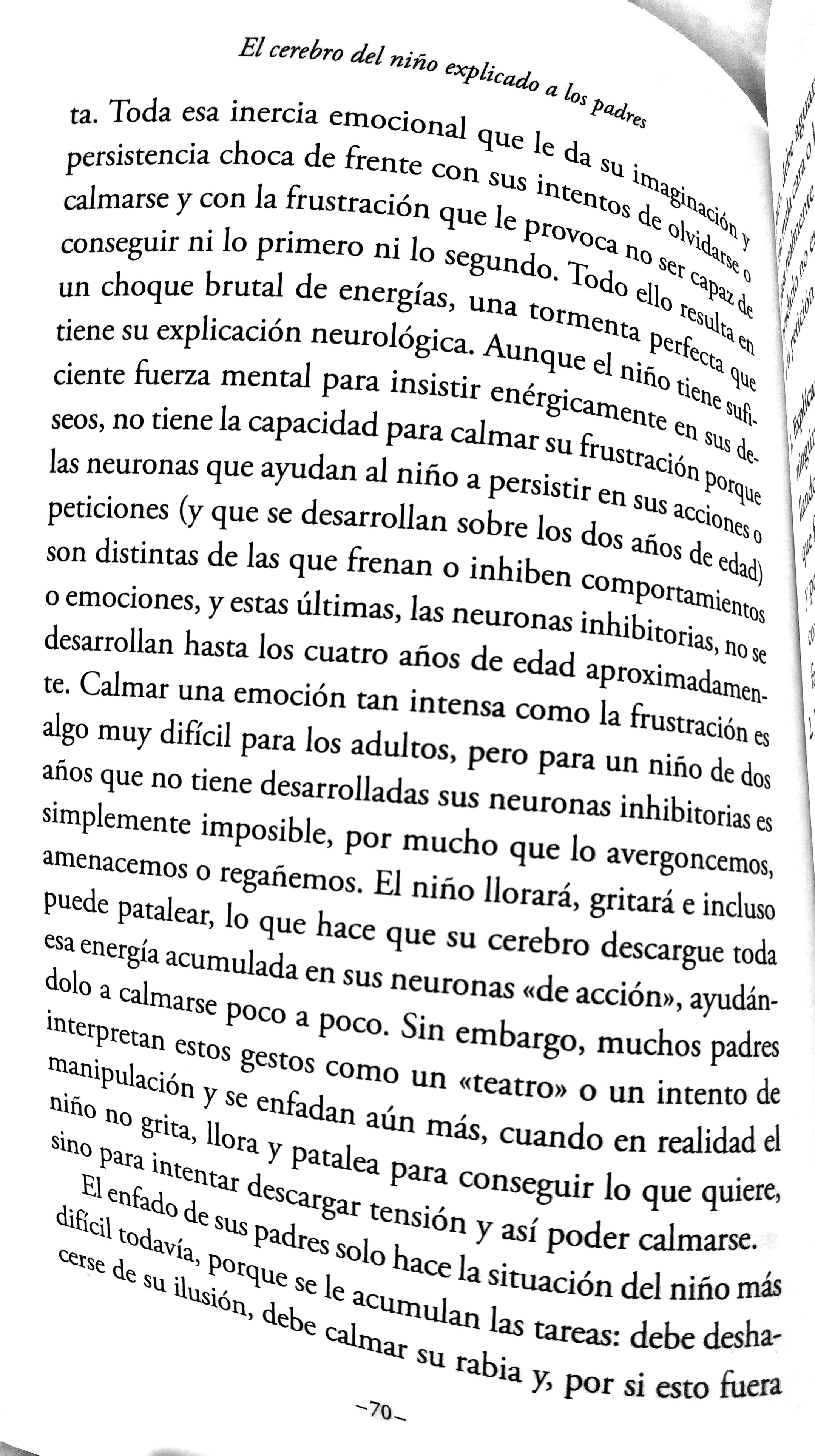 2010 Rabietas Alvaro Bilbao P69 73 El Cerebro Del Nino Explicado A Los Padres.jpg 2