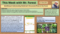 ThisweekwithMrForest 16.02.2021