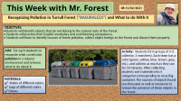 ThisweekwithMrForest08.02.2021