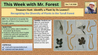 ThisweekwithMrForest Dec 7 10.2020
